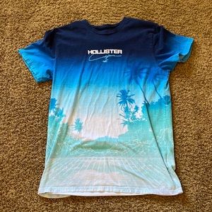 Hollister Tee Shirt (Large)
